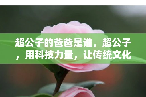 超公子的爸爸是谁,超公子,用科技力量,让传统文化焕发新生 超公子的爸爸是谁,超公子,用科技力量,让传统文化焕发新生