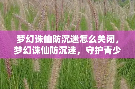 梦幻诛仙防沉迷怎么关闭，梦幻诛仙防沉迷，守护青少年的数字世界