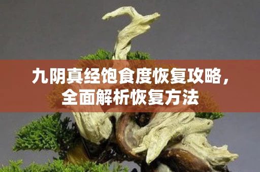 九阴真经饱食度恢复攻略图片