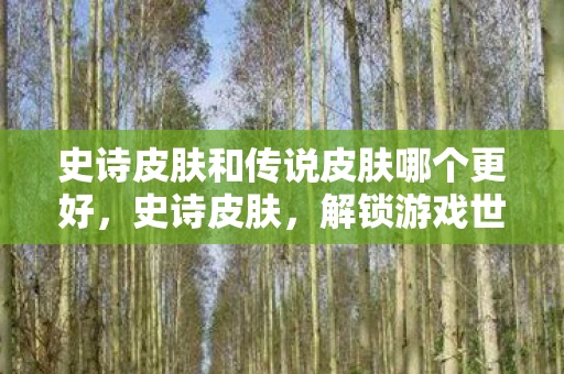 史诗皮肤和传说皮肤哪个更好，史诗皮肤，解锁游戏世界的荣耀与传奇