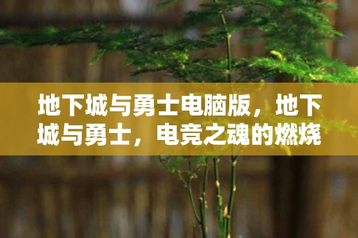 地下城与勇士电脑版,地下城与勇士,电竞之魂的燃烧 地下城与勇士电脑版,地下城与勇士,电竞之魂的燃烧