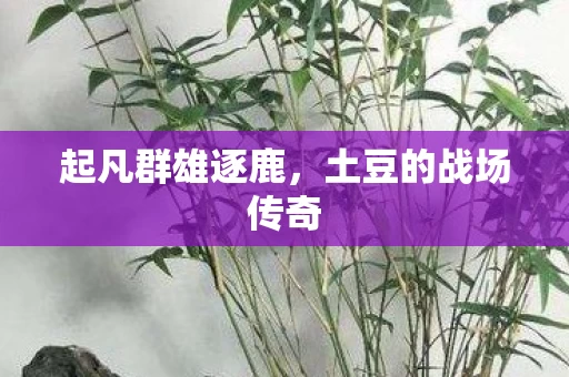 土豆的战场传奇图片