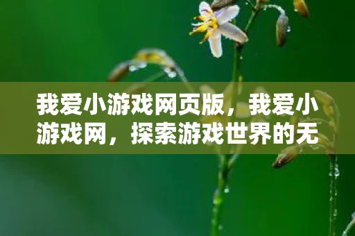 我爱小游戏网页版，我爱小游戏网，探索游戏世界的无限可能