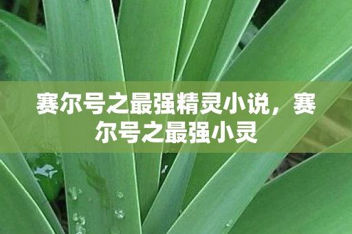 赛尔号之最强精灵小说,赛尔号之最强小灵 赛尔号之最强精灵小说,赛尔号之最强小灵