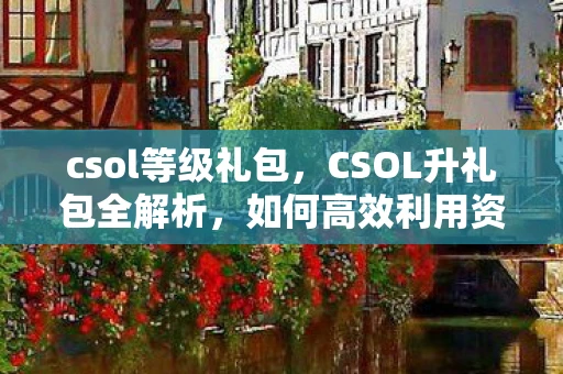 csol等级礼包，CSOL升礼包全解析，如何高效利用资源提升战斗力