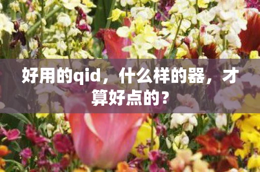 好用的qid，什么样的器，才算好点的？