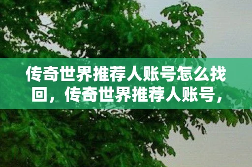 传奇世界推荐人账号怎么找回，传奇世界推荐人账号，解锁你的传奇之旅