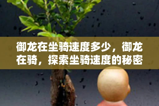 御龙在坐骑速度多少，御龙在骑，探索坐骑速度的秘密