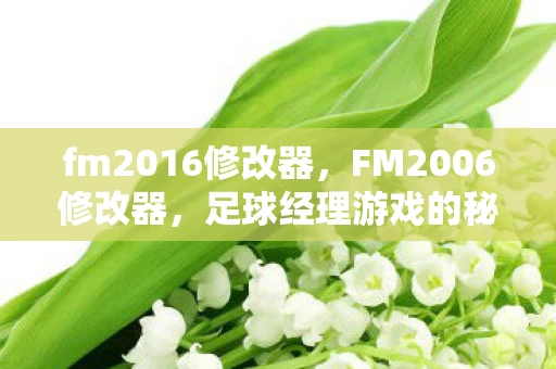 fm2016修改器,FM2006修改器,足球经理游戏的秘密武器 fm2016修改器,FM2006修改器,足球经理游戏的秘密武器