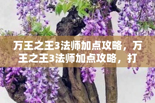 万王之王3法师加点攻略，万王之王3法师加点攻略，打造最强法师的秘诀