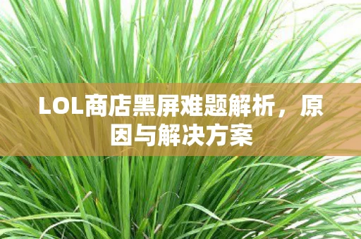 LOL商店黑屏难题解析图片