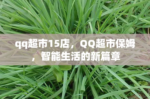 qq超市15店，QQ超市保姆，智能生活的新篇章