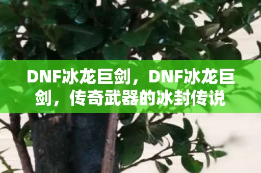 DNF冰龙巨剑，DNF冰龙巨剑，传奇武器的冰封传说