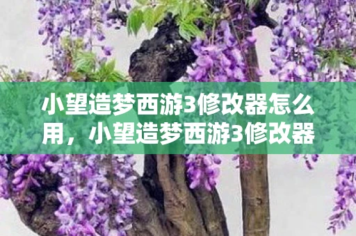 小望造梦西游3修改器怎么用,小望造梦西游3修改器最新版,解锁无限可能的冒险之旅 小望造梦西游3修改器怎么用,小望造梦西游3修改器最新版,解锁无限可能的冒险之旅