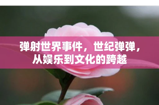 弹射世界事件，世纪弹弹，从娱乐到文化的跨越