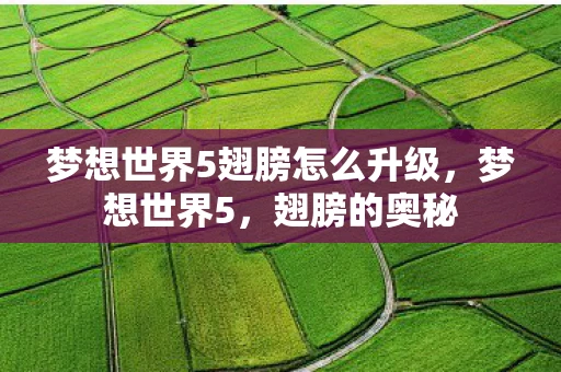 梦想世界5翅膀怎么升级，梦想世界5，翅膀的奥秘