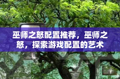 巫师之怒配置推荐，巫师之怒，探索游戏配置的艺术