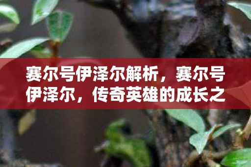 赛尔号伊泽尔解析，赛尔号伊泽尔，传奇英雄的成长之路