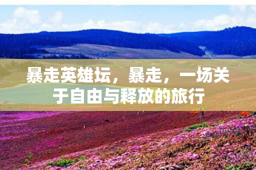 暴走英雄坛，暴走，一场关于自由与释放的旅行