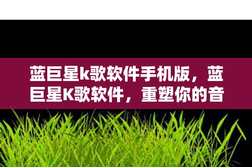 蓝巨星k歌软件手机版，蓝巨星K歌软件，重塑你的音乐体验