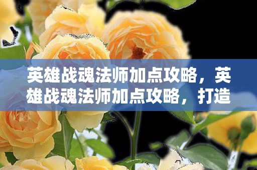 英雄战魂法师加点攻略，英雄战魂法师加点攻略，打造最强法师的秘诀