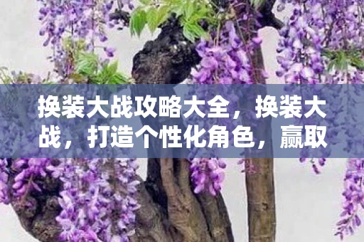 换装大战攻略大全，换装大战，打造个性化角色，赢取胜利攻略