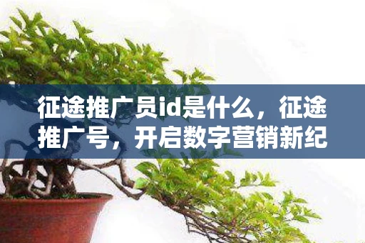 征途推广员id是什么，征途推广号，开启数字营销新纪元