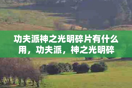功夫派神之光明碎片有什么用,功夫派,神之光明碎 功夫派神之光明碎片有什么用,功夫派,神之光明碎