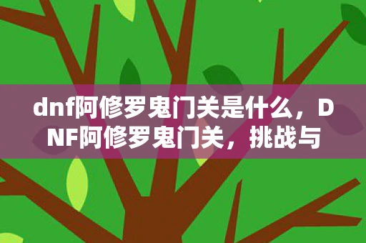 dnf阿修罗鬼门关是什么，DNF阿修罗鬼门关，挑战与机遇并存的神秘领域