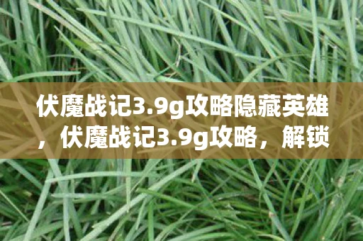 伏魔战记3.9g攻略隐藏英雄，伏魔战记3.9g攻略，解锁隐藏关卡，提升战斗力的终极指南