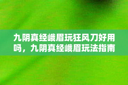 九阴真经峨眉玩狂风刀好用吗，九阴真经峨眉玩法指南