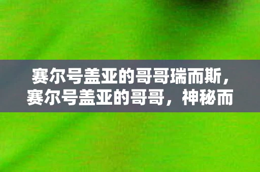 赛尔号盖亚的哥哥瑞而斯，赛尔号盖亚的哥哥，神秘而强大的存在