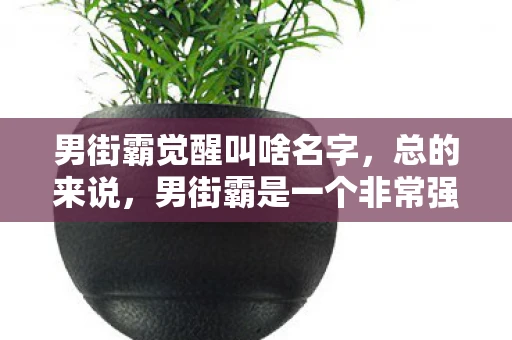 男街霸觉醒叫啥名字,总的来说,男街霸是一个非常强大的职业,不仅拥有强大的觉醒技能和实用的其他技能,还可以通过不断的锤炼和磨练提升自己的战斗能力。如果你喜欢近战职业和街头风格的游戏体验,那么男街霸绝对是一个值得一试的职业 男街霸觉醒叫啥名字,总的来说,男街霸是一个非常强大的职业,不仅拥有强大的觉醒技能和实用的其他技能,还可以通过不断的锤炼和磨练提升自己的战斗能力。如果你喜欢近战职业和街头风格的游戏体验,那么男街霸绝对是一个值得一试的职业