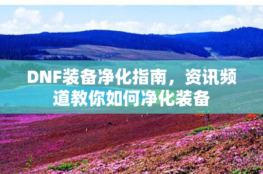 资讯频道教你如何净化装备图片