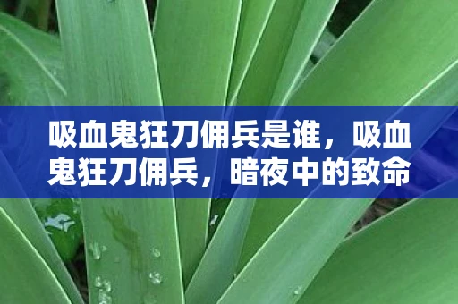 吸血鬼狂刀佣兵是谁，吸血鬼狂刀佣兵，暗夜中的致命舞者