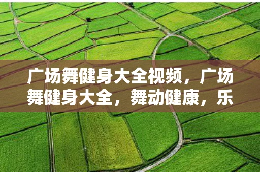 广场舞健身大全视频，广场舞健身大全，舞动健康，乐享生活