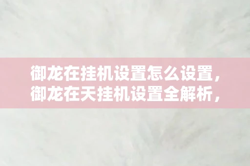 御龙在挂机设置怎么设置，御龙在天挂机设置全解析，打造高效挂机体验