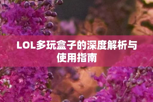LOL多玩盒子的深度解析与使用指南图片