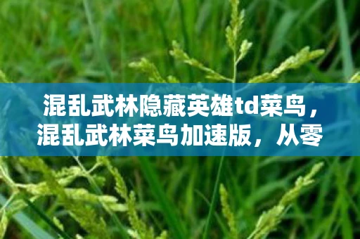 混乱武林隐藏英雄td菜鸟，混乱武林菜鸟加速版，从零到高手的武林之旅