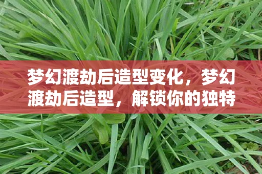 梦幻渡劫后造型变化，梦幻渡劫后造型，解锁你的独特魅力