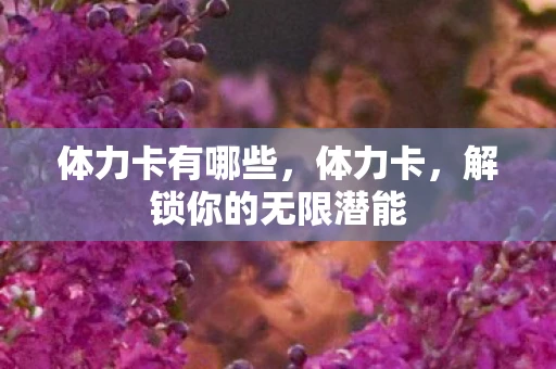 体力卡有哪些，体力卡，解锁你的无限潜能