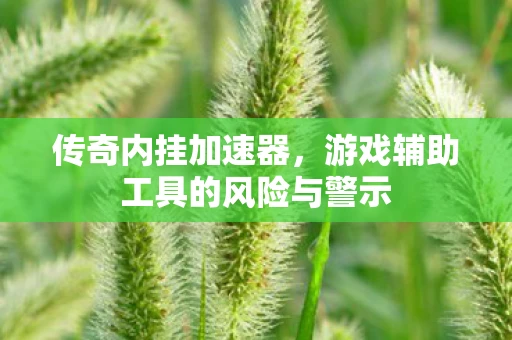 传奇内挂加速器，游戏辅助工具的风险与警示