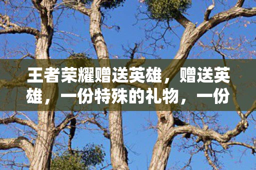 王者荣耀赠送英雄，赠送英雄，一份特殊的礼物，一份永恒的记忆