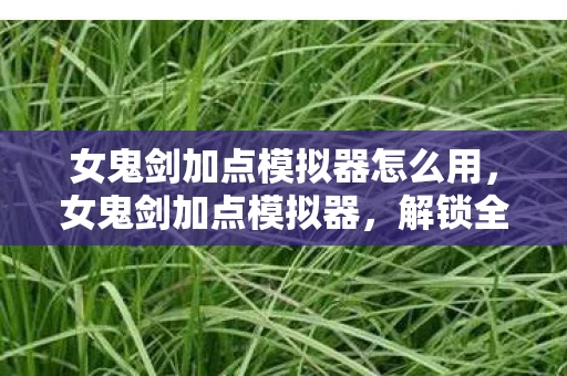 女鬼剑加点模拟器怎么用，女鬼剑加点模拟器，解锁全新战斗体验