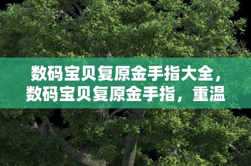 数码宝贝复原金手指大全，数码宝贝复原金手指，重温经典，找回童年的回忆