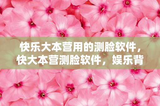 快乐大本营用的测脸软件，快大本营测脸软件，娱乐背后的隐私与安全问题