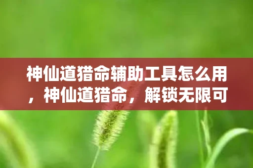 神仙道猎命辅助工具怎么用，神仙道猎命，解锁无限可能的辅助工具