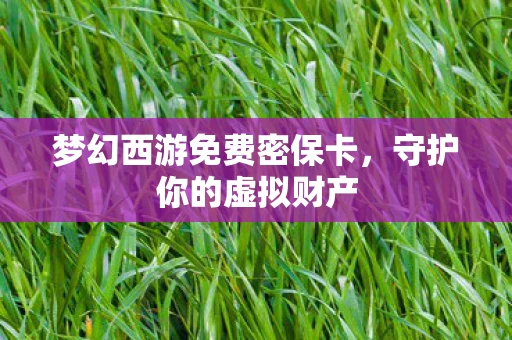 梦幻西游免费密保卡，守护你的虚拟财产