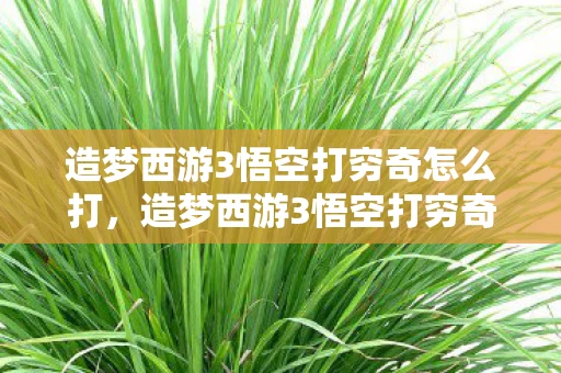 造梦西游3悟空打穷奇怎么打，造梦西游3悟空打穷奇攻略