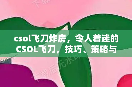 csol飞刀炸房，令人着迷的CSOL飞刀，技巧、策略与魅力